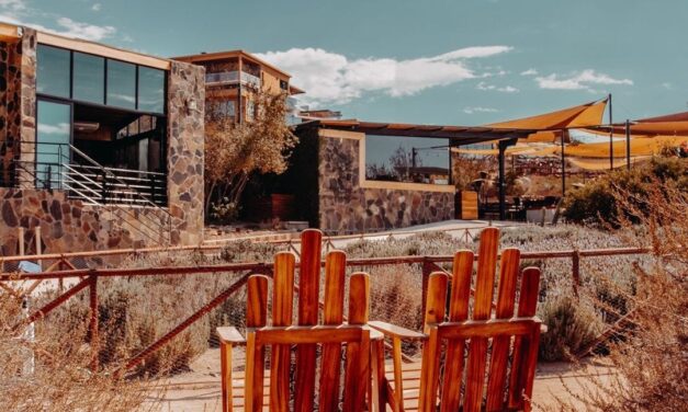 Reciben Salvia Blanca y Contemplación, en Valle de Guadalupe, 3 históricas nominaciones