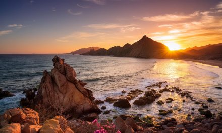 El Verano más fabuloso de tu vida