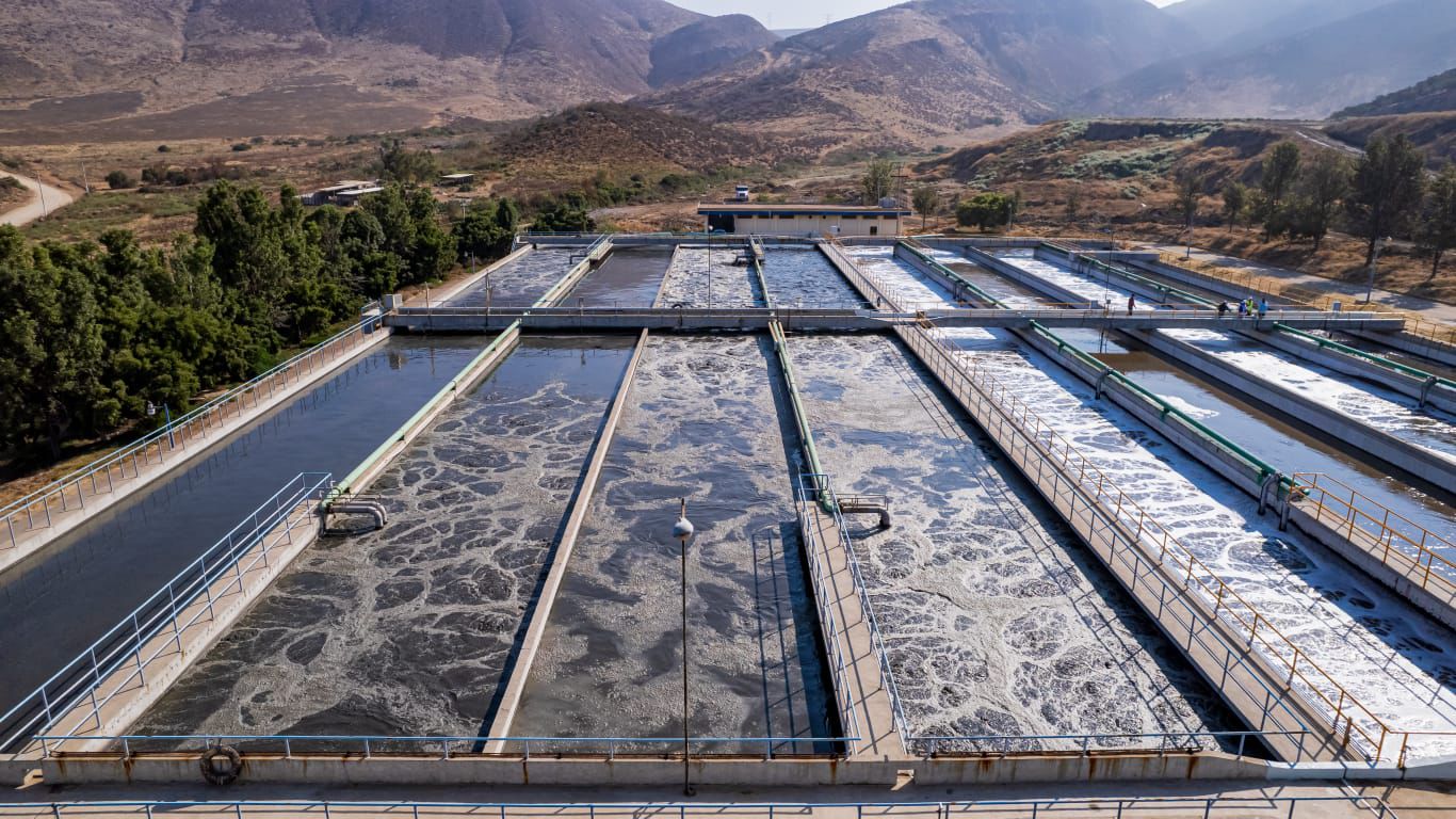 recorren planta el naranjo