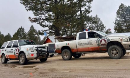Llama Protección Civil a tomar medidas preventivas por descenso de temperaturas en delegaciones