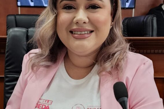 ES NECESARIO QUE ESCUELAS PRIVADAS OTORGUEN BECAS A PERSONAS DE GRUPOS VULNERABLES: DIP. MICHELLE TEJEDA