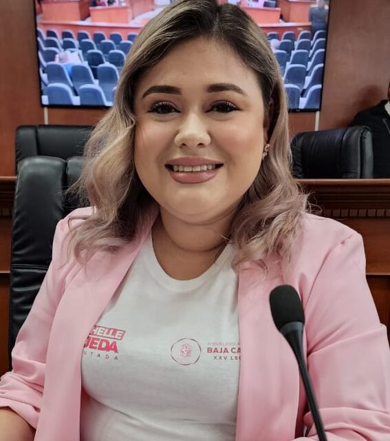 ES NECESARIO QUE ESCUELAS PRIVADAS OTORGUEN BECAS A PERSONAS DE GRUPOS VULNERABLES: DIP. MICHELLE TEJEDA