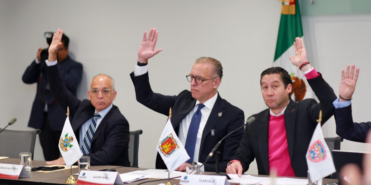 ASUME KURT HONOLD VICEPRESIDENCIA DE ASOCIACIÓN MEXICANA DE SECRETARIOS DE DESARROLLO ECONÓMICO