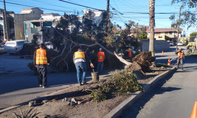 Atiende Gobierno de Ensenada 18 reportes relacionados con la Condición Santa Ana