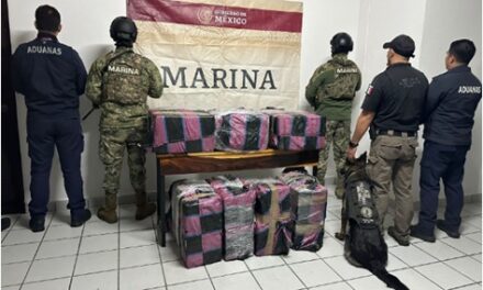 Encuentra la Marina 300 paquetes con Cocaína en contenedor