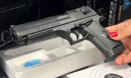 El 91% de los detenidos en Ensenada utilizó juguetes bélicos; Pide regidora Ana Salgado frenar su venta a PROFECO