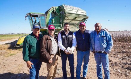 Gestionará Armando Ayala apoyos para productores de algodón del Estado