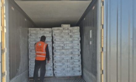 Encuentra MARINA langostas y Merlusa en veda en bodegas de Ensenada