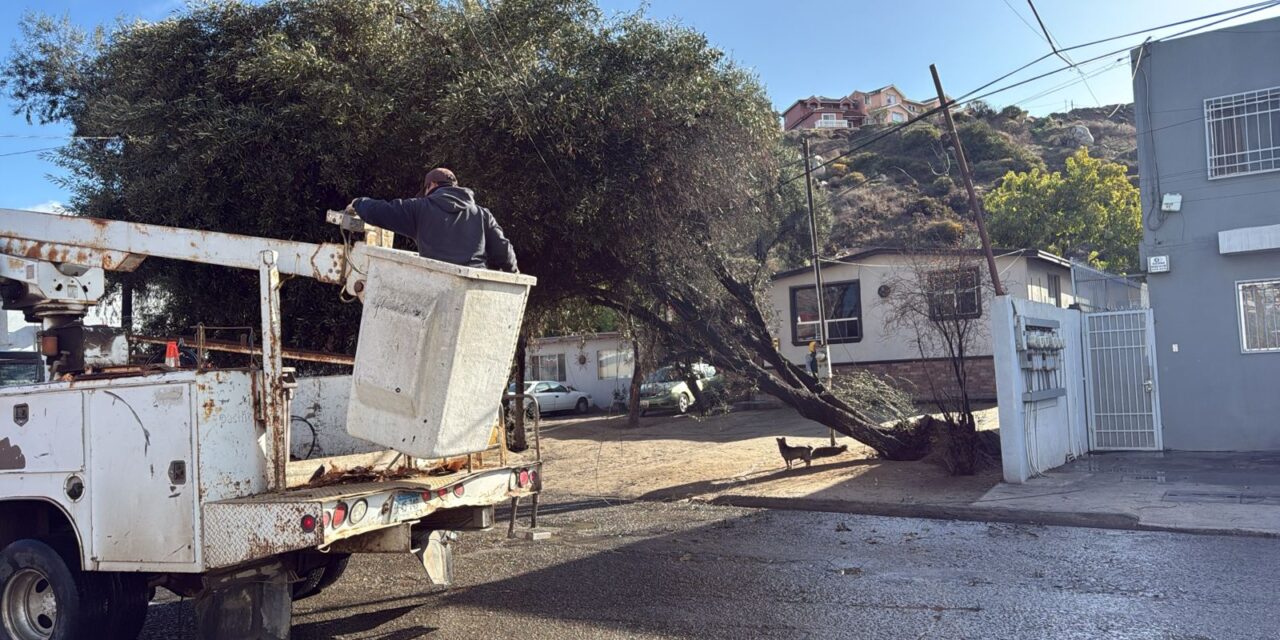 Sin afectaciones mayores por lluvias y vientos