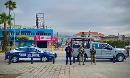 Autoridades retiran cámaras de videovigilancia irregulares en la vía pública