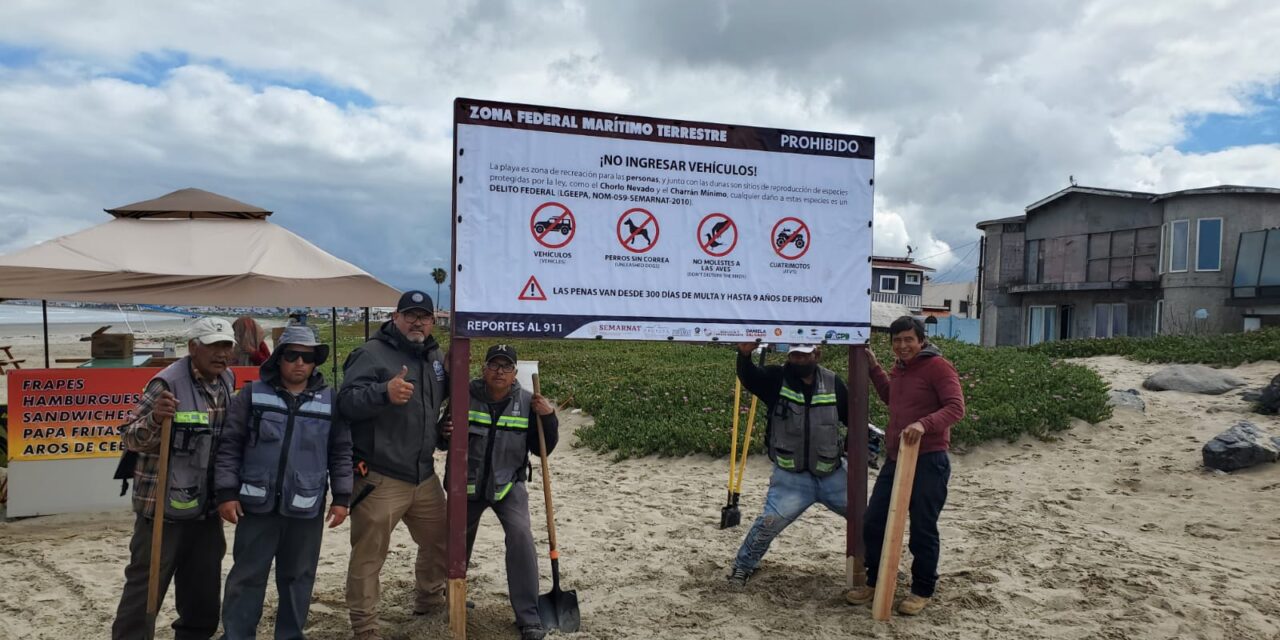 IMPLEMENTA OPERATIVO INTEGRAL PARA PROTECCIÓN DE AVES MIGRATORIAS