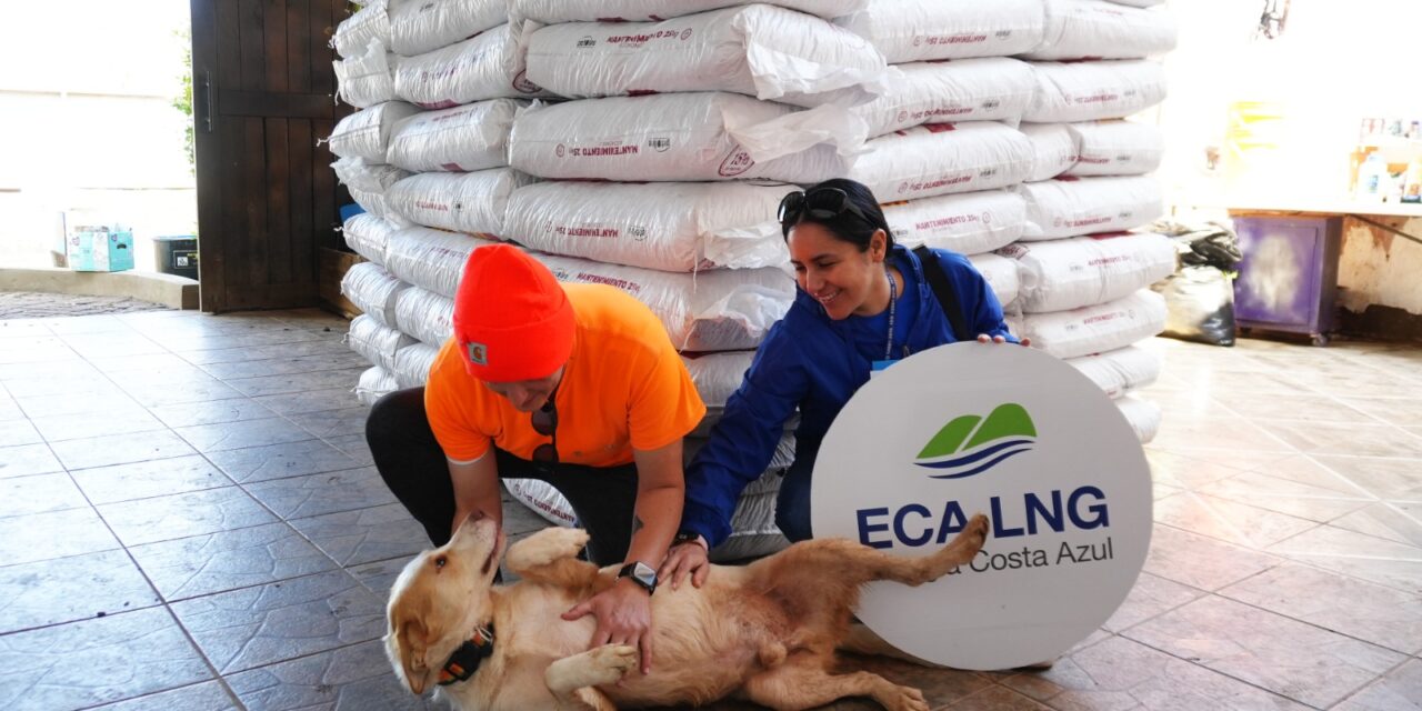 Reúnen voluntarios y ECA LNG 6 mil 250 kg de alimento para mascotas 