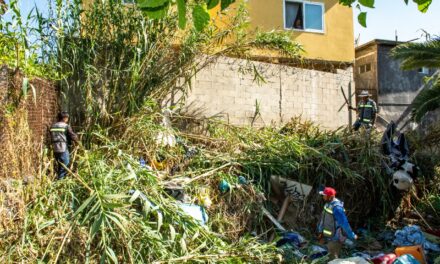 Realiza Gobierno de Claudia Agatón limpieza de arroyo de la Bronce