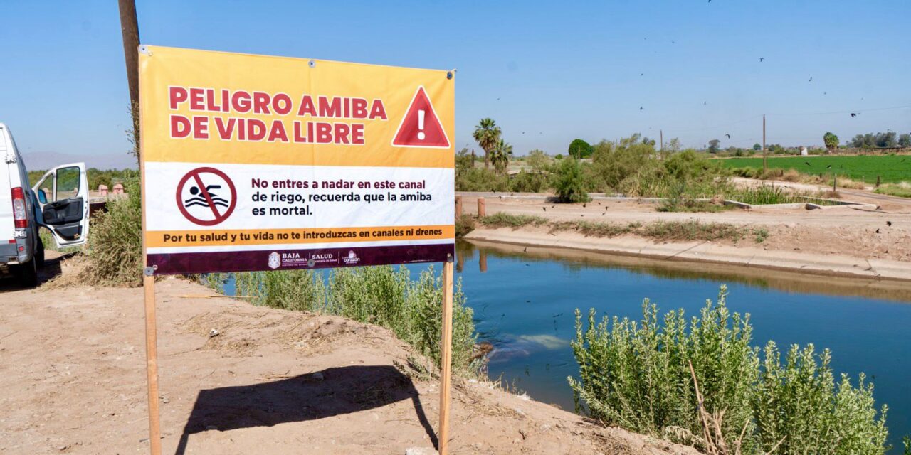 REALIZAN OPERATIVO PARA PREVENIR DAÑOS POR AMIBA LIBRE Y RECOMIENDAN NO NADAR EN CANALES, POZOS O DRENES