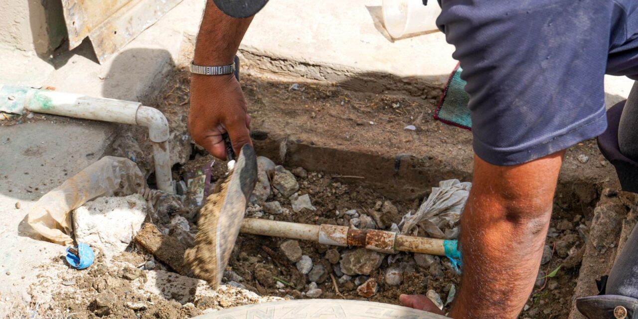 DESCUBRE CESPE 100 TOMAS CLANDESTINAS