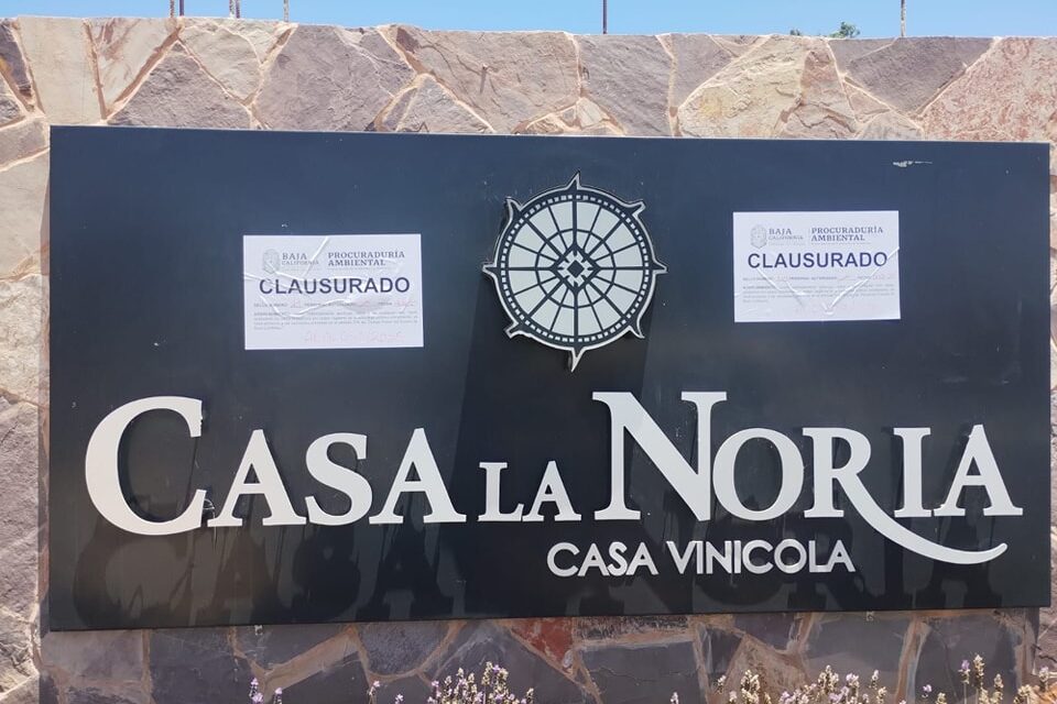 CLAUSURA MEDIO AMBIENTE LA VINICULA LA NORIA, PROPIEDAD DEL PANISTA ALEJANDRO MONRAZ