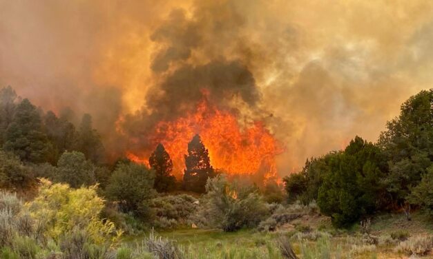 Emite Gobierno de Tecate pre alerta de evacuación en La Rumorosa y zonas aledañas; Instalan albergues