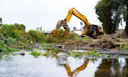 Inicia gobierno de Claudia Agatón Jornada Integral de Limpieza en el arroyo Ensenada