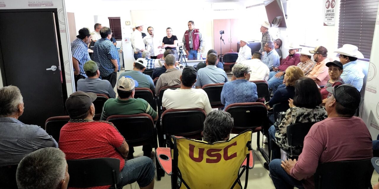 DIPUTADA TEJEDA Y DIPUTADO MOLINA ACUERDAN RUTA DE SEGUIMIENTO A DEMANDAS DEL SECTOR TRIGUERO