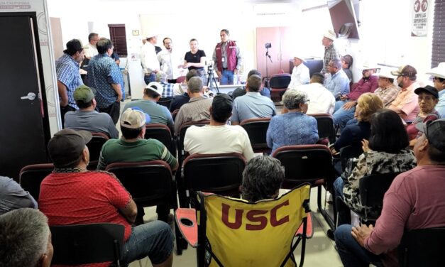 DIPUTADA TEJEDA Y DIPUTADO MOLINA ACUERDAN RUTA DE SEGUIMIENTO A DEMANDAS DEL SECTOR TRIGUERO