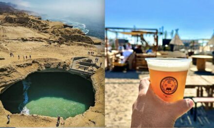 Lista la 9 edición del “Beerfest San Quintín”