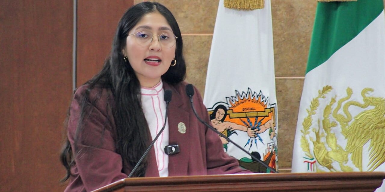 PROPONE DIPUTADA MICHEL SÁNCHEZ ESTABLECER COMO REQUISITO CURSO DE MANEJO PARA OBTENER LICENCIA