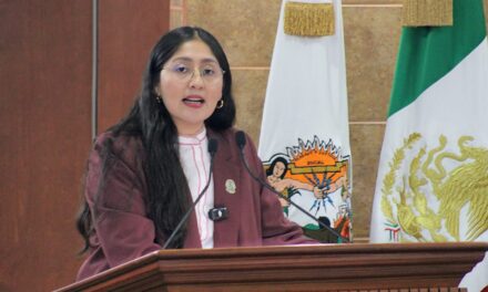PROPONE DIPUTADA MICHEL SÁNCHEZ ESTABLECER COMO REQUISITO CURSO DE MANEJO PARA OBTENER LICENCIA