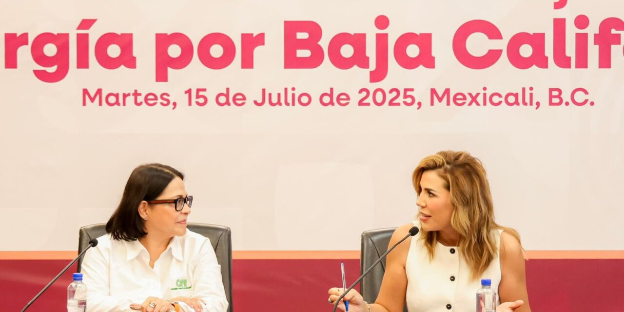 PRESENTA CFE Y ESTADO, EL PLAN EMERGENTE PARA GARANTIZAR EFECTIVIDAD EN SERVICIO ENERGÉTICO EN BC