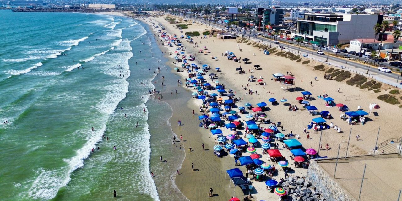 PLAYAS DE ENSENADA, APTAS PARA BAÑARSE: COFEPRIS