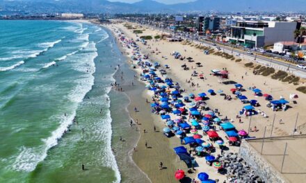 PLAYAS DE ENSENADA, APTAS PARA BAÑARSE: COFEPRIS
