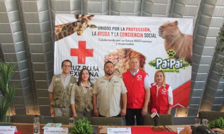 Nace el Movimiento Red Viva con alianza entre PAI PAI y Cruz Roja