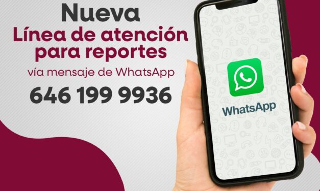 CUENTA CESPE CON NUEVO NÚMERO DE WHATSAPP PARA ATENCIÓN DE REPORTES