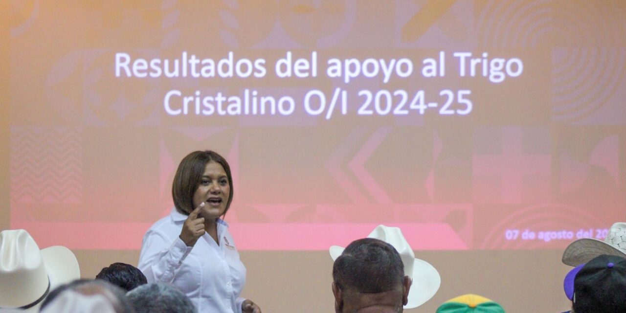 ARRANCA EN SEPTIEMBRE PAGO DE ESTÍMULOS DEL TRIGO CRISTALINO EN MEXICALI