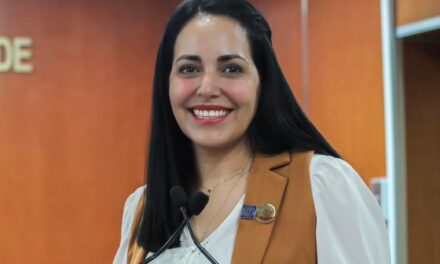 ANTE APAGONES EN EL VERANO, ES TIEMPO DE LEGISLAR CON PREVISIÓN Y VISIÓN: DIPUTADA MAYOLA GAONA