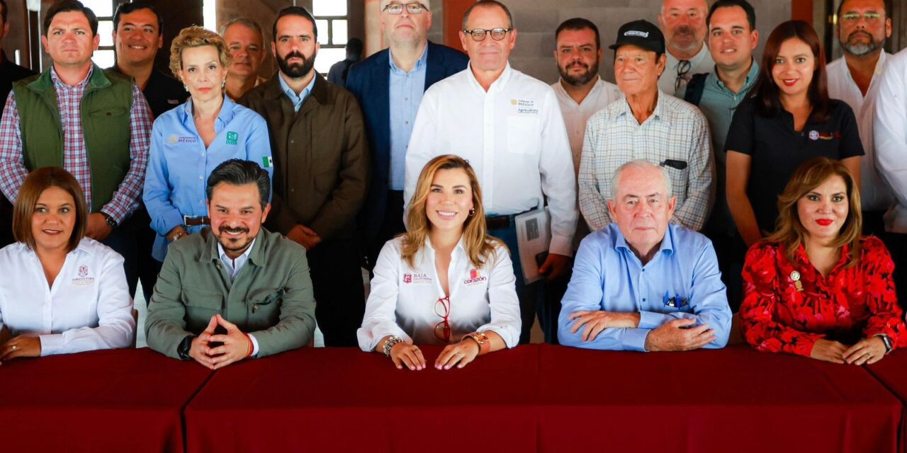 EN BREVE, SAN QUINTÍN VERÁ RESULTADOS DE LAS GESTIONES EN CDMX, DICE MIRIAM CANO