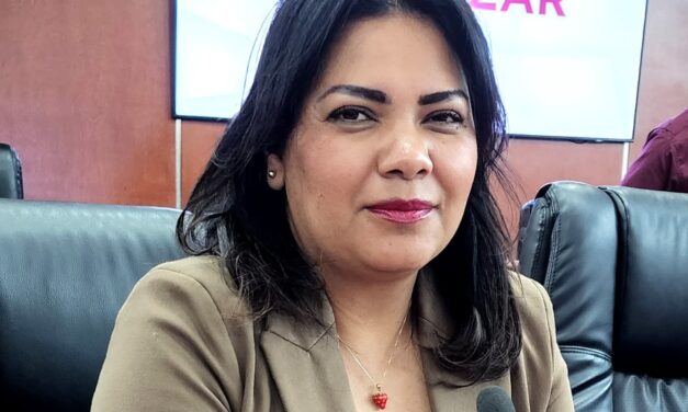 PRESENTAN REFORMA PARA AGRAVAR LA PENA A PERSONAS QUE COMETAN EL DELITO DE ROBO DE VEHÍCULO