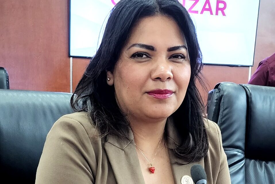 PRESENTAN REFORMA PARA AGRAVAR LA PENA A PERSONAS QUE COMETAN EL DELITO DE ROBO DE VEHÍCULO