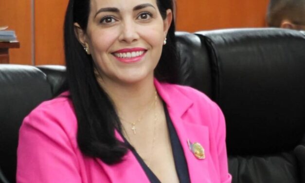 EXHORTAN A LAS AUTORIDADES ESTATALES Y MUNICIPALES A REVISAR TODAS LAS VIALIDADES DE MEXICALI