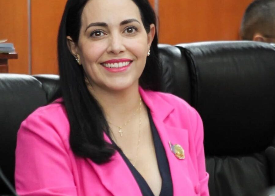 EXHORTAN A LAS AUTORIDADES ESTATALES Y MUNICIPALES A REVISAR TODAS LAS VIALIDADES DE MEXICALI