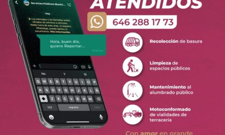 Reitera Gobierno de Ensenada que los reportes de recolección de basura se realizan en la línea de WhatsApp 646 288 17 73