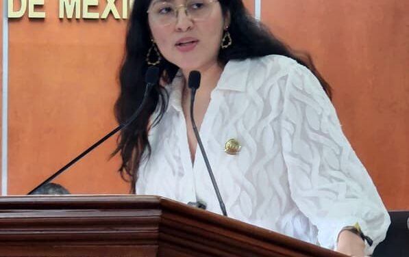 DIPUTADA MICHEL SÁNCHEZ ALLENDE PROPONE FORTALECER LA COMPETITIVIDAD E IMPULSAR EL CONSUMO LOCAL