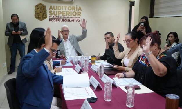 COMISIÓN DE SEGURIDAD APRUEBA PROYECTOS EN MATERIA DE VIGILANCIA, ARMAMENTO Y DELITOS DIGITALES