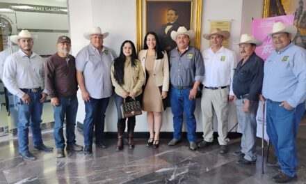 NO PUEDE SER IGNORADA LA SITUACIÓN DEL VALLE DE MEXICALI: DIPUTADA MAYOLA GAONA