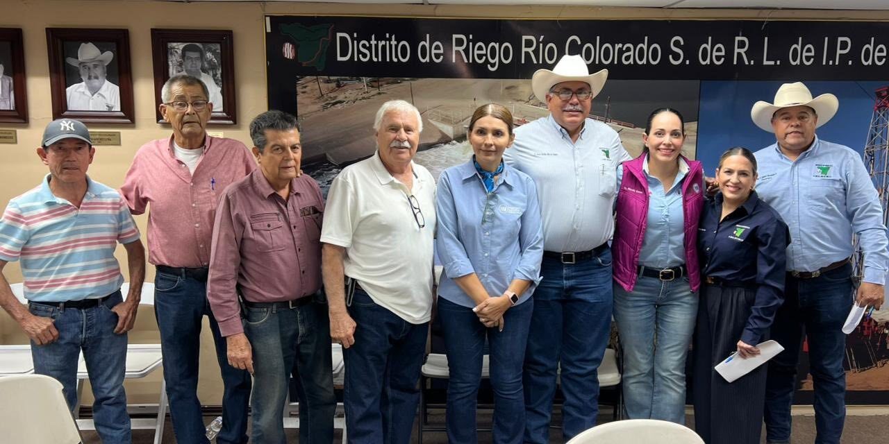 MAYOLA GAONA SOLICITA QUE SE INSTALE UNA MESA TÉCNICA PERMANENTE Y REALICE UN FORO EN EL VALLE DE MEXICALI