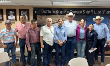 MAYOLA GAONA SOLICITA QUE SE INSTALE UNA MESA TÉCNICA PERMANENTE Y REALICE UN FORO EN EL VALLE DE MEXICALI