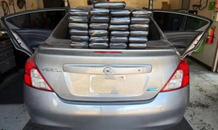 DECOMISA PATRULLA FRONTERIZA 25 PAQUETES DE «META» Y 72 LIBRAS DE «COCA» EN CRUCE DE SAN DIEGO