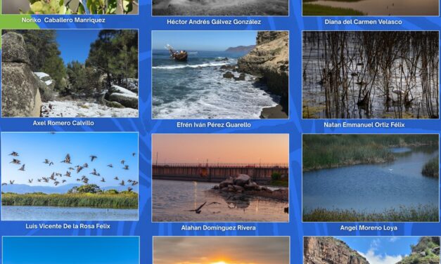 ECA LNG premia a los ganadores de su Concurso de Fotografía 2025