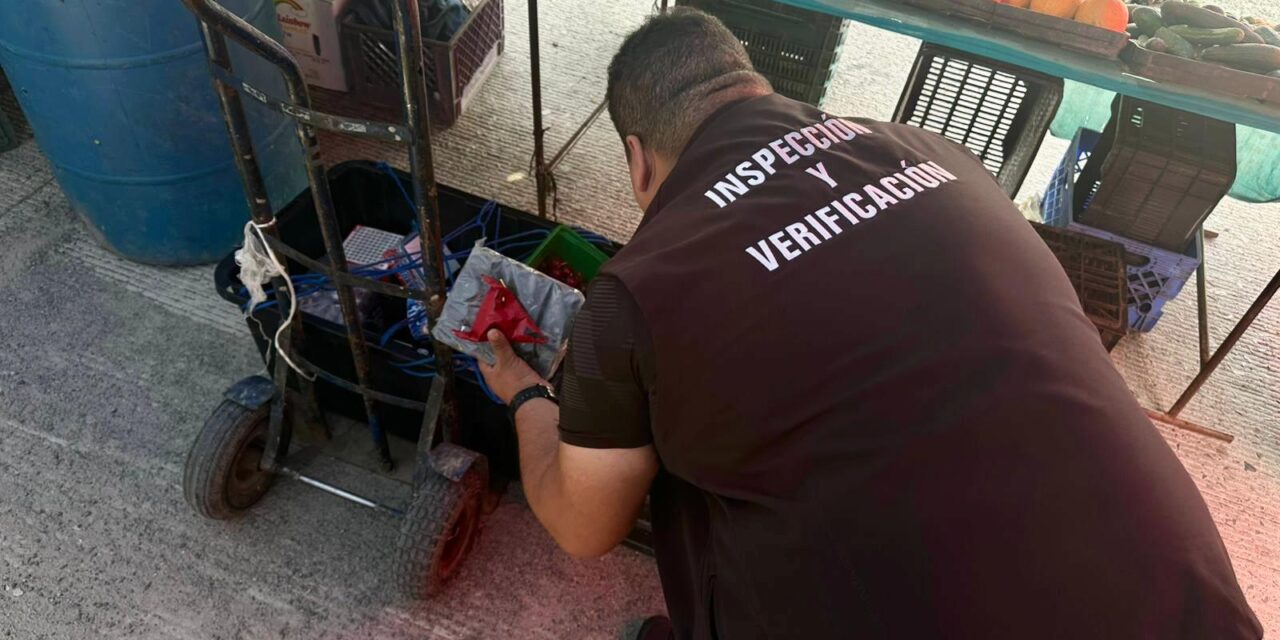 Decomisa Gobierno Municipal de Tijuana 30 kilos de pirotecnia en operativo de inspección