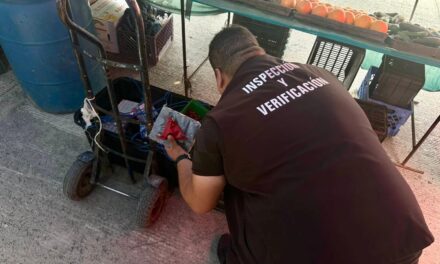 Decomisa Gobierno Municipal de Tijuana 30 kilos de pirotecnia en operativo de inspección