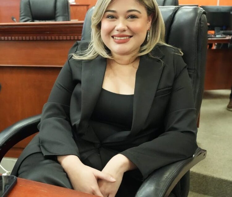 INICIATIVA DE LA DIPUTADA MICHELLE TEJEDA BUSCA FOMENTAR LA DENUNCIA Y PREVENIR LA VIOLENCIA FAMILAR